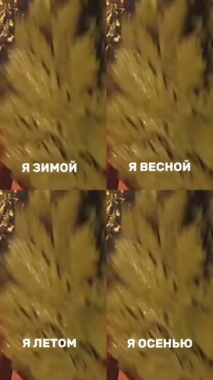 Я в любое время года 😎