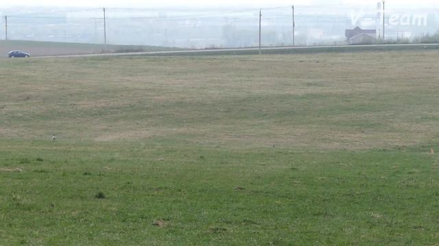 ITURY PUZZLE EXTRAORDINARY SMART (К) - STAR KARUNA GOOD LUCK (Б). CACIL-ЧР, Суханово - 2019. смотреть онлайн