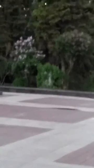 Ульяновск вечер 26.05..17 смотреть онлайн