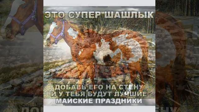 Лучшие прикольные картинки YouTube¦funny momentsчасть 45 смотреть онлайн