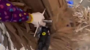 Машинка для удаления картонного облоя