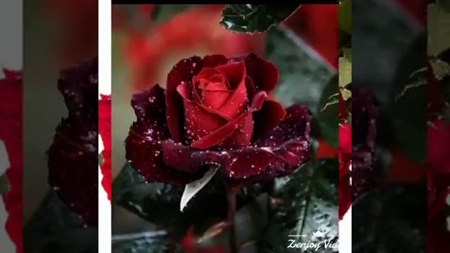 добрый вечер, девочки!👧👧👧👩👩 смотреть онлайн