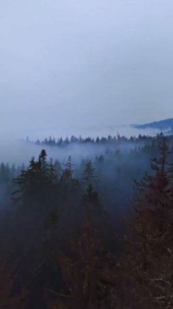 Красиво ... вдохновение природой