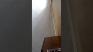 молдавский прикол по телефону !