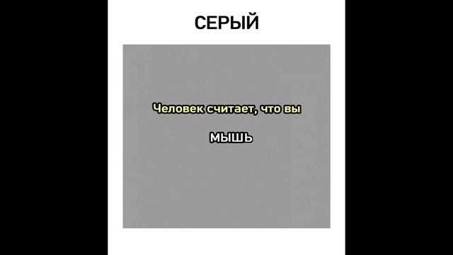 Мемы. Лютые дома Смешариков