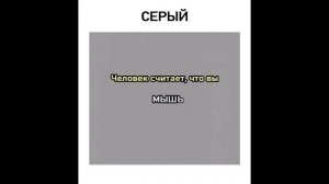 Мемы. Лютые дома Смешариков