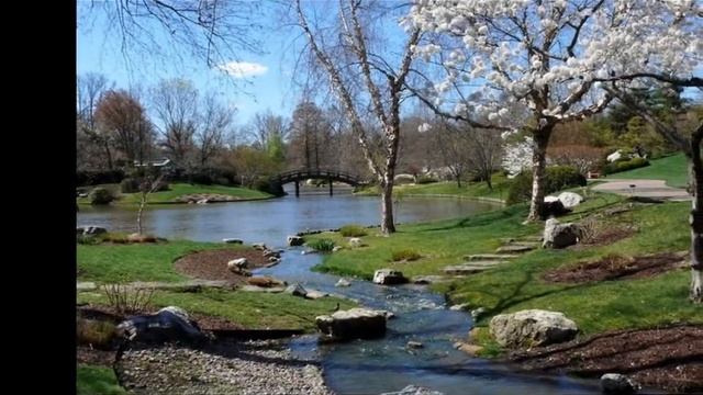 Мгновения весны