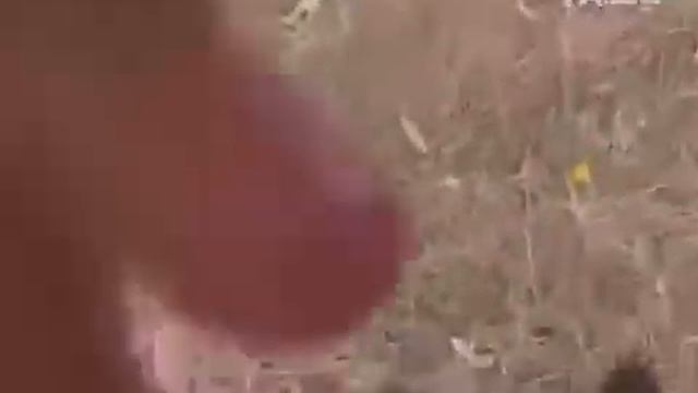 Лучшие смешные приколы над людьми 2015 самое смешное видео 2015 Best Funny Videos 2015 смотреть онлайн