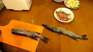 Фарш из щуки с салом