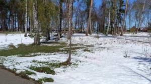 Башкирский  парк после снегопада.