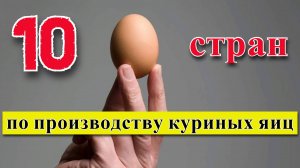 ЯЙЦА: ТОП 10 стран по производству куриных яиц