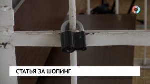 Статья за шопинг