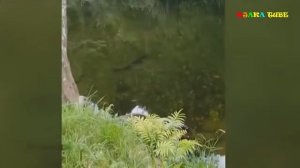 Подборка падений и неудач. Лучшие приколы и неудачи смешные падения .