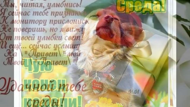 УДАЧНОЙ СРЕДЫ смотреть онлайн