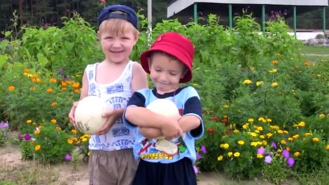 Слайд-шоу "Страусиная ферма".mp4