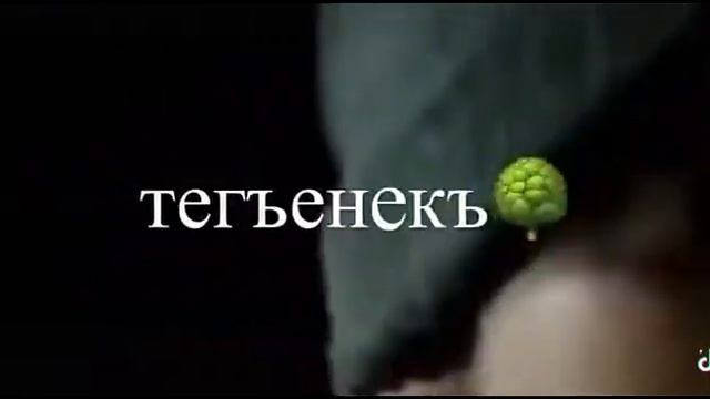 Кумыкский бит😂 смотреть онлайн