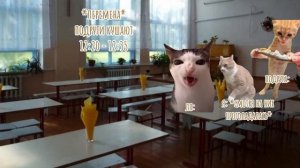 Моя обычная пятница #мемныекоты #мем #меллстрой