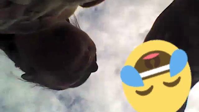 Влог II фестиваль красок смотреть онлайн