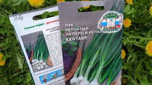 29.4.25г.  Сажаю Семена ЛУКА на ПЕРО сорта КЕНТАВР!!!    Ещё ХОЛОДНО!!!   Отцветают ТЮЛЬПАНЫ!!!