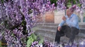 МАМИНА СИРЕНЬ