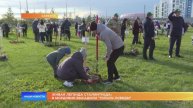 Живая легенда Сталинграда: в Мордовии высадили "Тополь Победы"