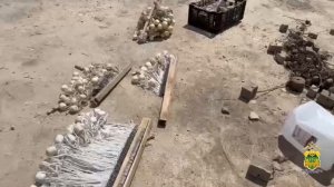 Итоги проведения ОПМ "Путина-2025"