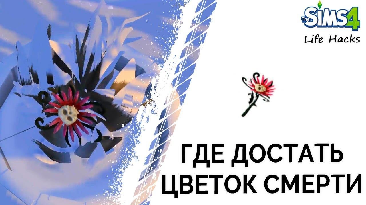 Где достать цветок смерти в Симс 4