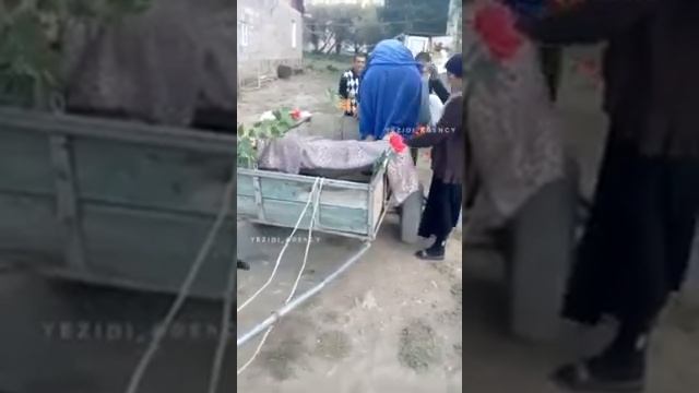 езидские приколы смотреть онлайн