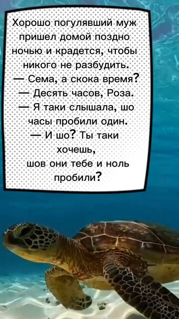#анекдот #поржать #смех #шутки #юмор #смешно