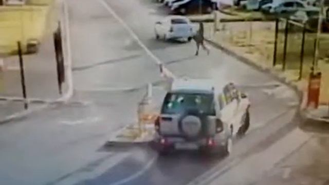 Женщина за рулем и шлагбаум 360p] смотреть онлайн