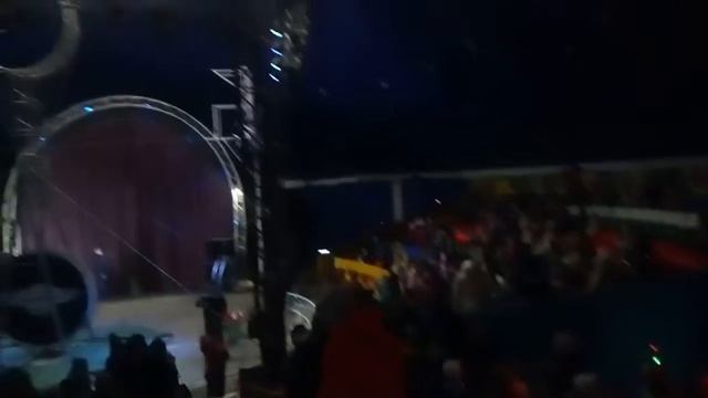 Я в цирке смотреть онлайн