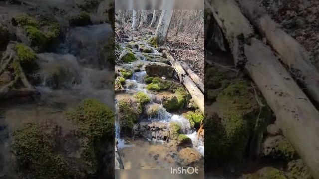 У водопада Серебряные струи. смотреть онлайн