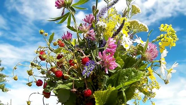 ЖЕНЯ С ДНЕМ РОЖДЕНЬЯ ДАРЮ ЛЕТНИЙ БУКЕТИК смотреть онлайн