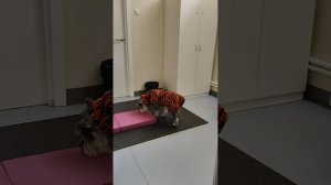 1000071900.mp4