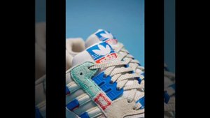 Offspring x adidas ZX 9000