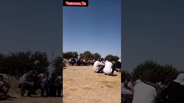 Кохри тучи Амри маъруф сари манзил. 12-09-2021 смотреть онлайн