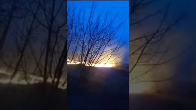 Поджог травы в Люблино смотреть онлайн