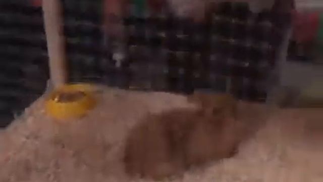 Приколы со съемок реальных пацанов смотреть онлайн