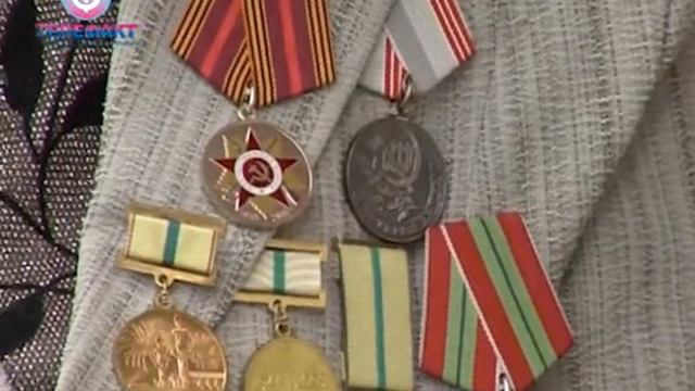 Телефакт от 01 02 2019
