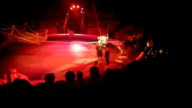 100 лет Советско Российскому цирку 21 смотреть онлайн