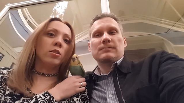 AskMasha и попугай "Пока без имени" в оперу пришли! смотреть онлайн