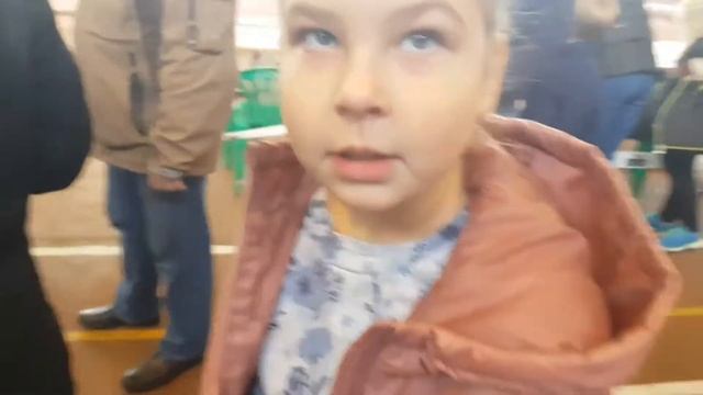 Выставка собак смотреть онлайн