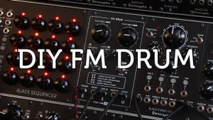 Erica Synths x DIY FM Drum: Sound Demo