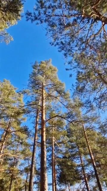 озеро Святое продажа участков