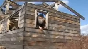 Отшельник Николай Тарасов - Вы кто такие, я вас не звал, идите …