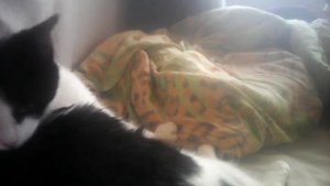 Вдох закрой глаза я с тобою  навсегда