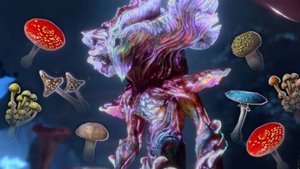 🍄ВЛАДЫКА ГРИБОВ 🍄