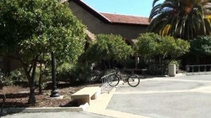 США 233: Стэнфордский Университет в воскресный день