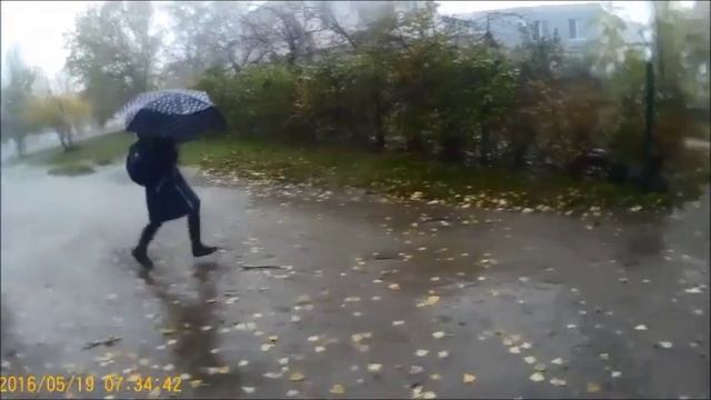 Одесса прикол под сильный Дождь все мы Атлеты Бегуны и Спортсмены смотреть онлайн