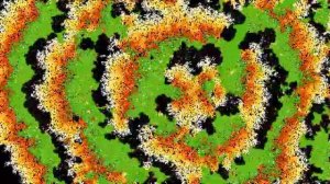 БЗОМ/BFDI На русском 24: Кошмар Инсектофоба 2